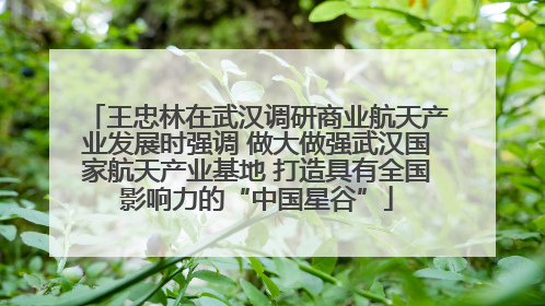 王忠林在武汉调研商业航天产业发展时强调 做大做强武汉国家航天产业基地 打造具有全国影响力的“中国星谷”