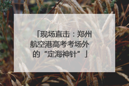 现场直击：郑州航空港高考考场外的“定海神针”