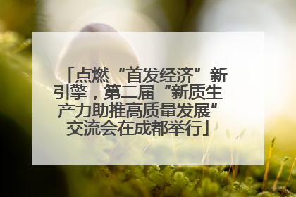 点燃“首发经济”新引擎,第二届“新质生产力助推高质量发展”交流会在成都举行