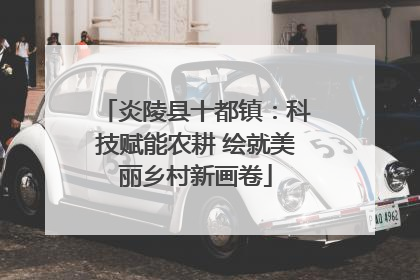 炎陵县十都镇：科技赋能农耕 绘就美丽乡村新画卷