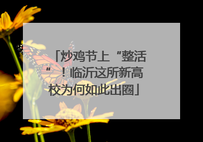炒鸡节上“整活”！临沂这所新高校为何如此出圈