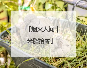 烟火人间｜米脂拾零