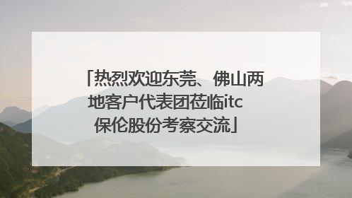 热烈欢迎东莞、佛山两地客户代表团莅临itc保伦股份考察交流