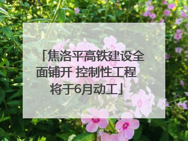 焦洛平高铁建设全面铺开 控制性工程将于6月动工