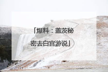 爆料：盖茨秘密去白宫游说