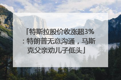 特斯拉股价收涨超3%：特朗普无意沟通，马斯克父亲劝儿子低头
