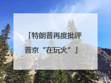 特朗普再度批评普京“在玩火”
