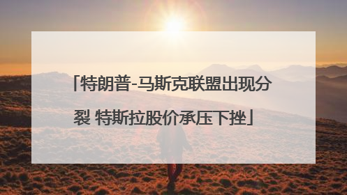 特朗普-马斯克联盟出现分裂 特斯拉股价承压下挫