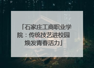 石家庄工商职业学院：传统技艺进校园焕发青春活力