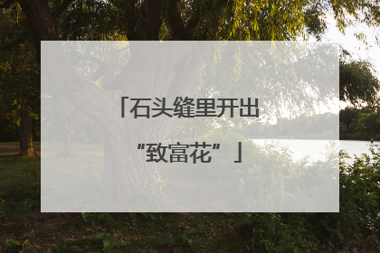 石头缝里开出“致富花”