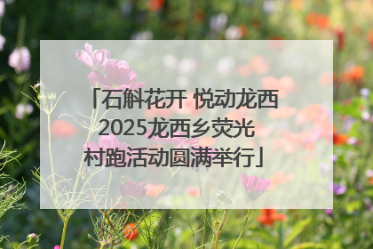 石斛花开 悦动龙西 2025龙西乡荧光村跑活动圆满举行