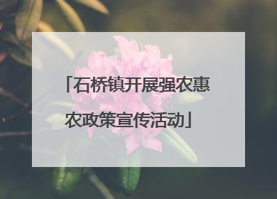 石桥镇开展强农惠农政策宣传活动
