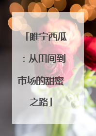 睢宁西瓜：从田间到市场的甜蜜之路
