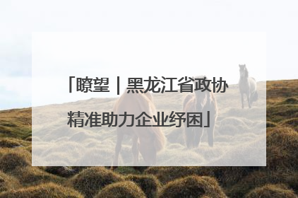 瞭望｜黑龙江省政协精准助力企业纾困