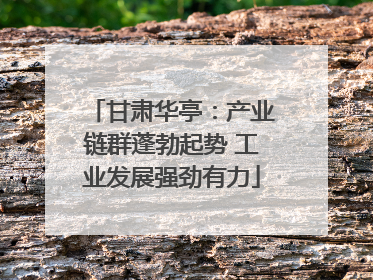 甘肃华亭：产业链群蓬勃起势 工业发展强劲有力