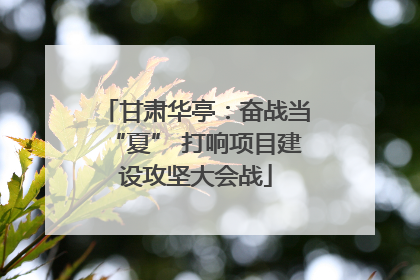 甘肃华亭：奋战当“夏” 打响项目建设攻坚大会战
