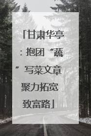 甘肃华亭：抱团“蔬”写菜文章 聚力拓宽致富路