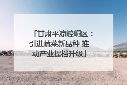 甘肃平凉崆峒区：引进蔬菜新品种 推动产业提档升级