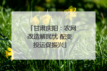 甘肃庆阳：农网改造解民忧 配变投运促振兴