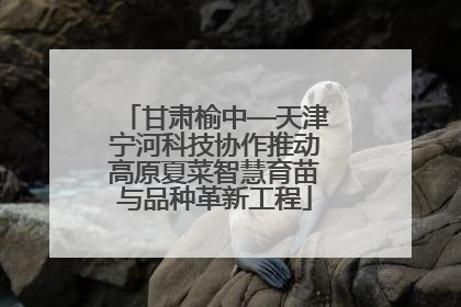 甘肃榆中—天津宁河科技协作推动高原夏菜智慧育苗与品种革新工程
