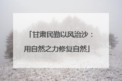 甘肃民勤以风治沙：用自然之力修复自然