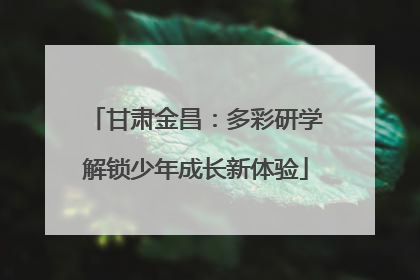 甘肃金昌：多彩研学解锁少年成长新体验