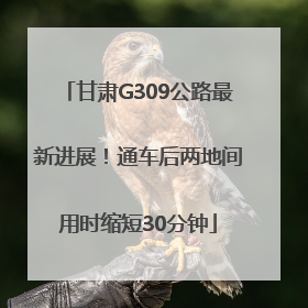 甘肃G309公路最新进展！通车后两地间用时缩短30分钟
