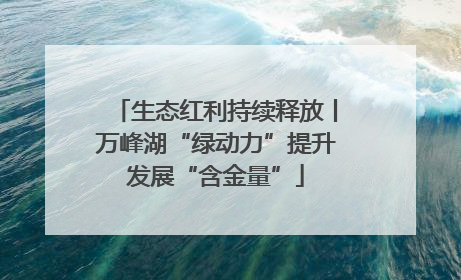 生态红利持续释放丨万峰湖“绿动力”提升发展“含金量”