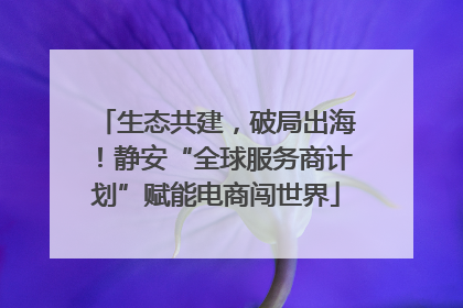 生态共建，破局出海！静安“全球服务商计划”赋能电商闯世界