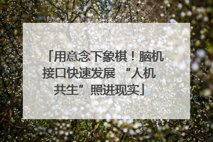 用意念下象棋！脑机接口快速发展 “人机共生”照进现实