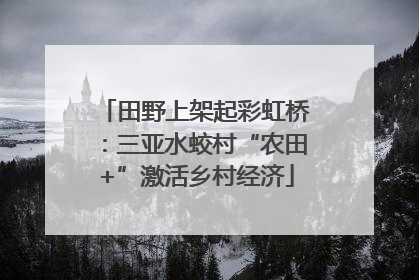 田野上架起彩虹桥：三亚水蛟村“农田+”激活乡村经济