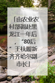 由农业农村部调赴黑龙江一年后，“80后”王杕履新齐齐哈尔副市长