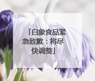 白象食品紧急致歉：将尽快调整