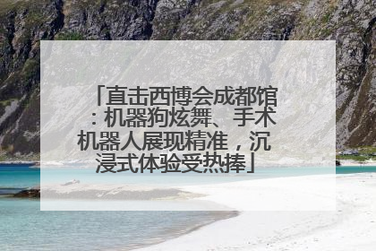直击西博会成都馆：机器狗炫舞、手术机器人展现精准，沉浸式体验受热捧