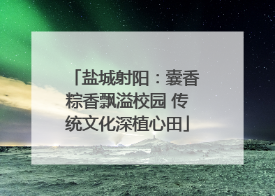 盐城射阳：囊香粽香飘溢校园 传统文化深植心田