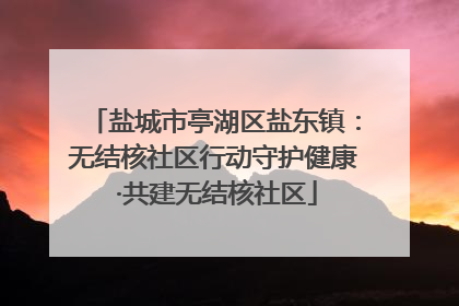 盐城市亭湖区盐东镇：无结核社区行动守护健康 ·共建无结核社区