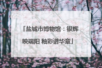 盐城市博物馆：银辉映端阳 釉彩谱华章