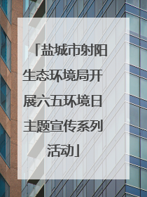 盐城市射阳生态环境局开展六五环境日主题宣传系列活动