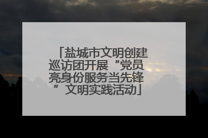 盐城市文明创建巡访团开展“党员亮身份服务当先锋”文明实践活动