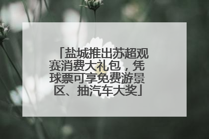 盐城推出苏超观赛消费大礼包，凭球票可享免费游景区、抽汽车大奖