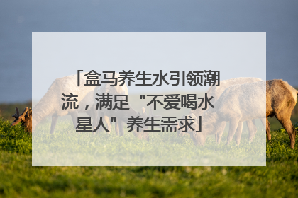 盒马养生水引领潮流，满足“不爱喝水星人”养生需求