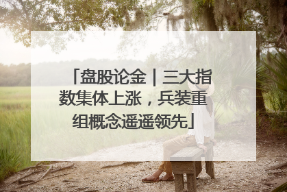 盘股论金｜三大指数集体上涨，兵装重组概念遥遥领先