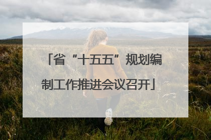 省“十五五”规划编制工作推进会议召开