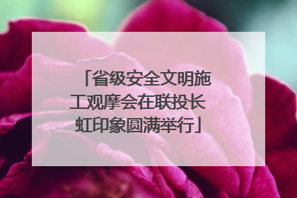 省级安全文明施工观摩会在联投长虹印象圆满举行