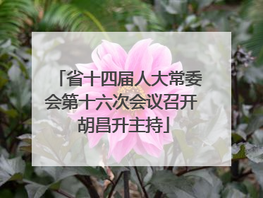 省十四届人大常委会第十六次会议召开 胡昌升主持
