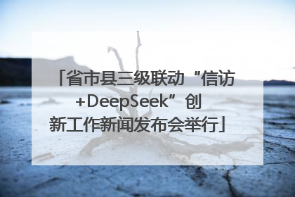 省市县三级联动“信访+DeepSeek”创新工作新闻发布会举行