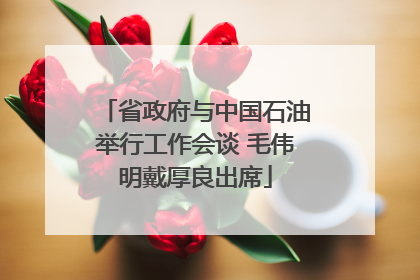 省政府与中国石油举行工作会谈 毛伟明戴厚良出席