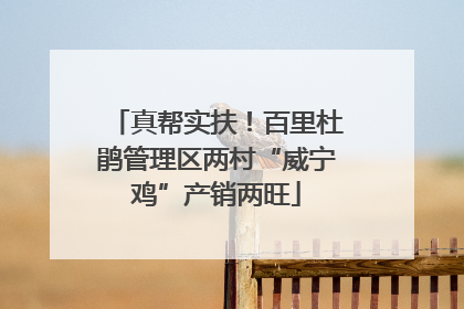 真帮实扶！百里杜鹃管理区两村“威宁鸡”产销两旺