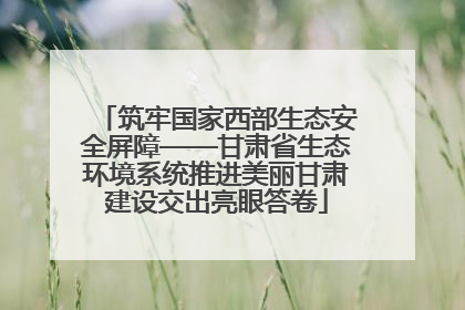 筑牢国家西部生态安全屏障——甘肃省生态环境系统推进美丽甘肃建设交出亮眼答卷
