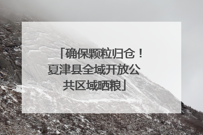 确保颗粒归仓！夏津县全域开放公共区域晒粮